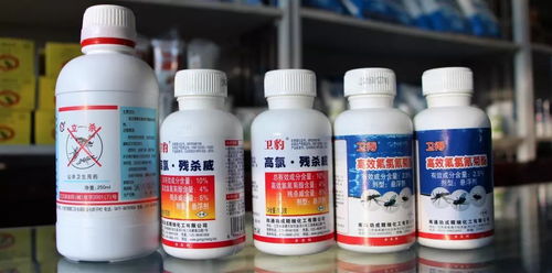 維潔消毒用品經營部 專業守護，健康同行——給全市人民拜年啦！